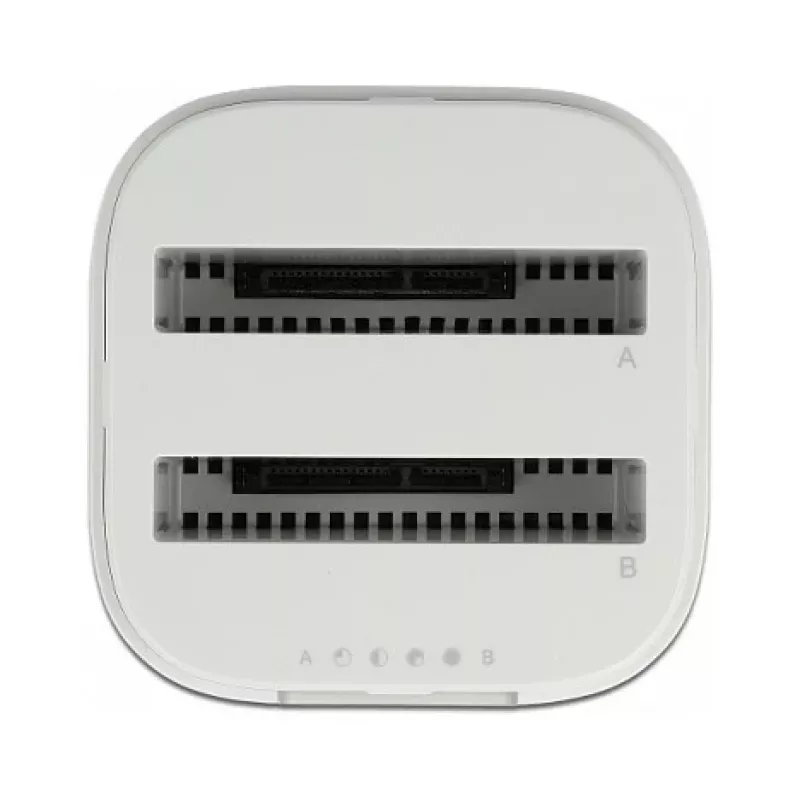 Dockingstation DeLOCK USB Type-C™ 3.2 voor 2 x 2,5-inch SATA-harde schijven/SSD's