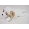 Pluchen hond liggend Madej 60 cm - Madej 243098