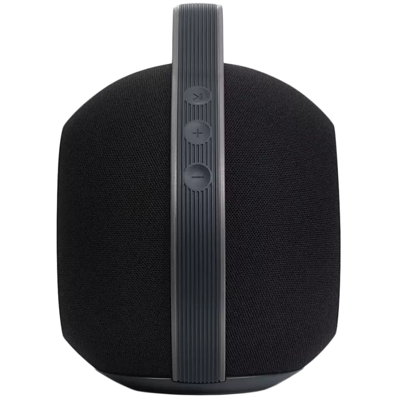 Stereo draagbare luidspreker Devialet Mania 95 dB