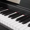 Digitale piano Kruger & Matz KMDP-45-BK — 88-toetsen gewogen klavier, matzwart