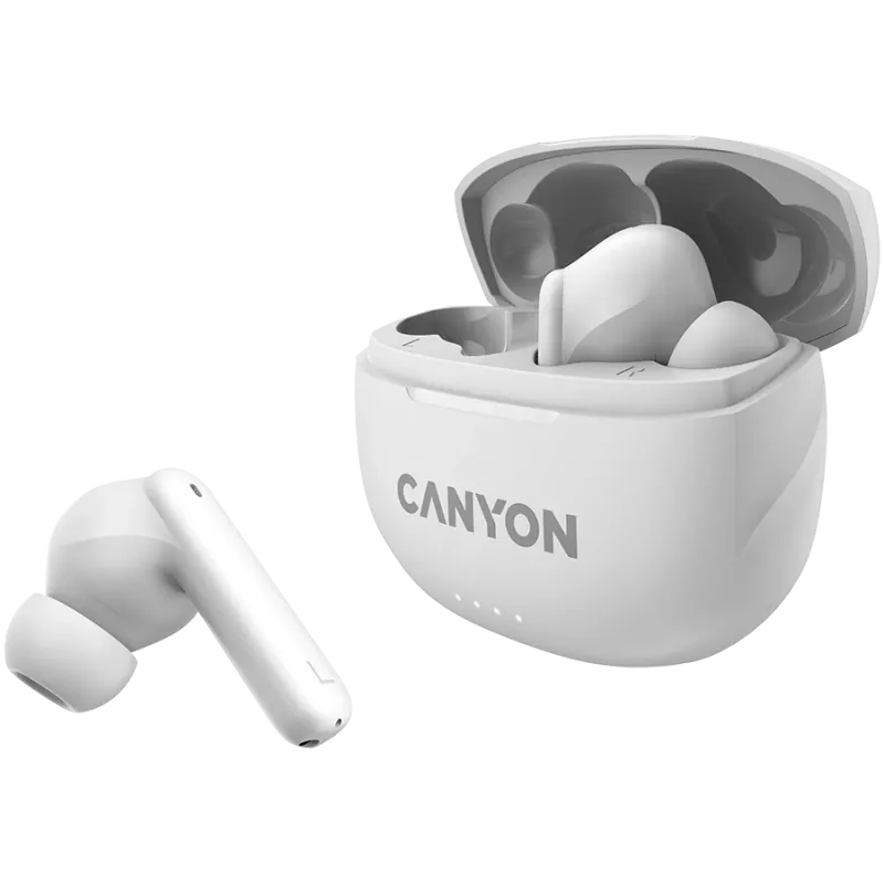 Canyon CNS-TWS8W Product Wit