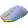 CANYON Muis MW-22 2in1 BT/Draadloos Lavendel