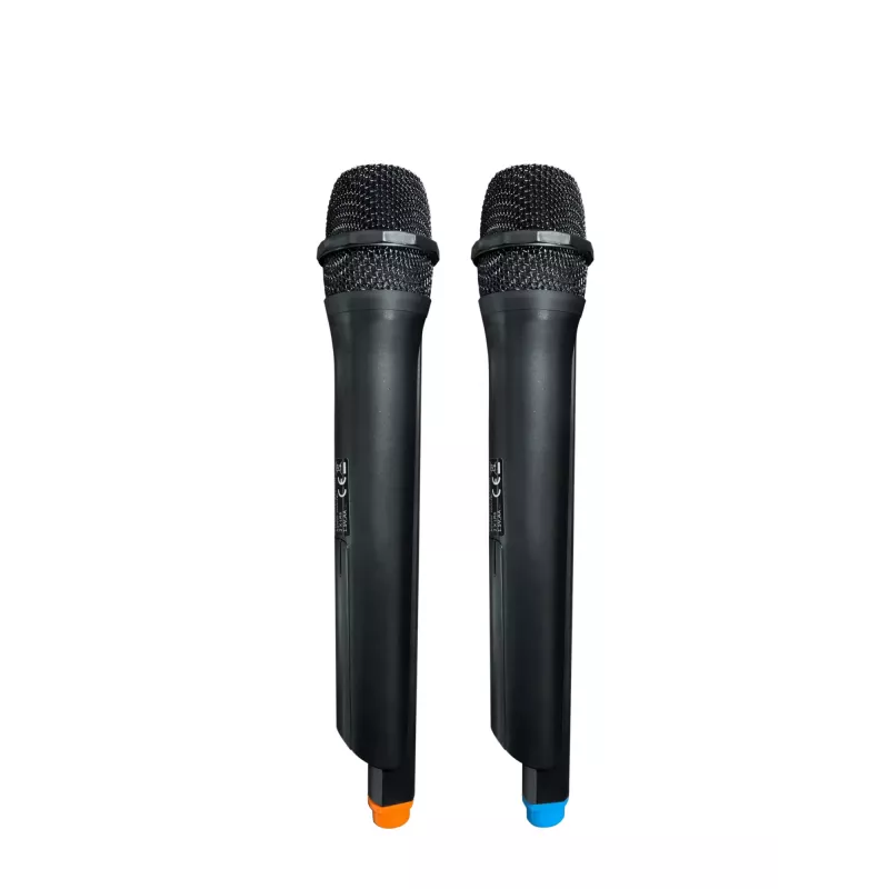 Systeem audio PLL FM USB/SD/BT 2x karaoke FULL LED PartyBox