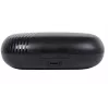 Earbuds BTE800 zwart