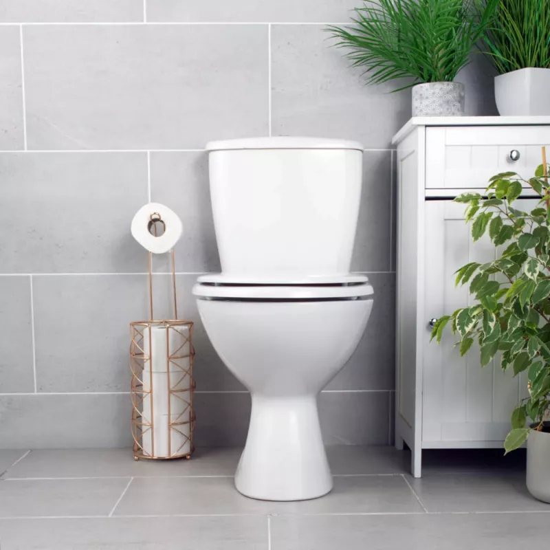 Toiletbril Beldray LA030252UFFEU7 — antibacterieel, onderhoudsvriendelijk design