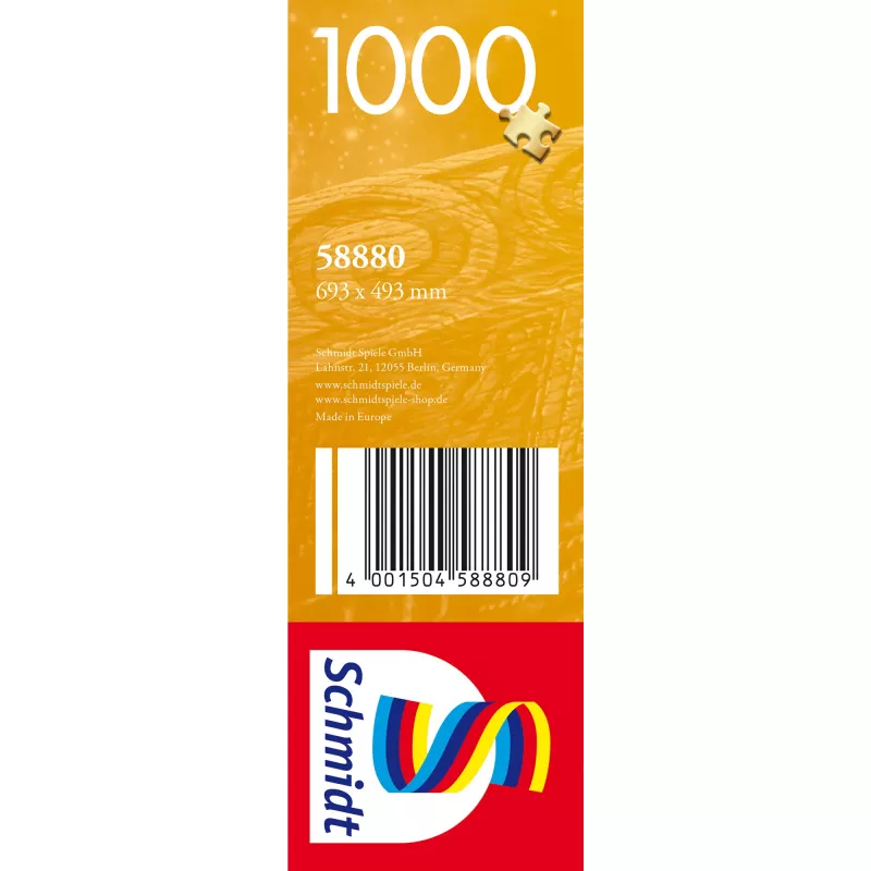 De astronoom, puzzel 1000 stukjes
