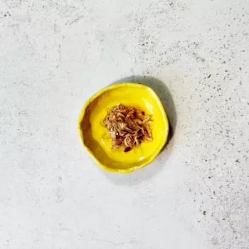 Ollo tonijn & kip met garnalen in bouillon nr. 3 70g