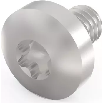 Schroff Torx-schroef M4X6 E/PRO (100 stuks/pak) (24560151)