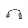 Lanberg AD-DP-HD-04 videokabel-adapter 0,2 m DisplayPort HDMI