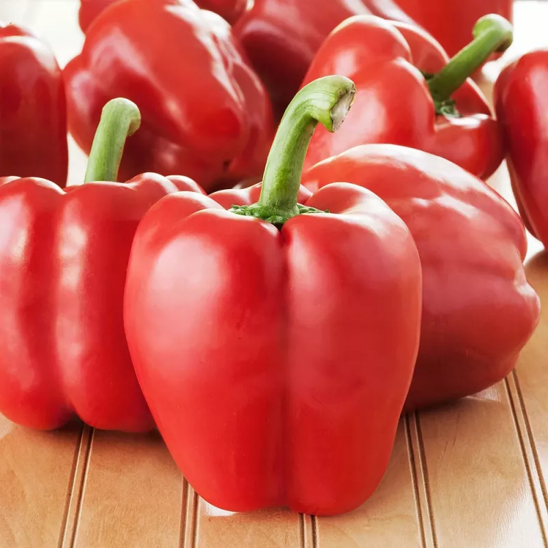 PNOS paprika Ozarowska gecoate zaden, verpakking van 50