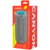 Canyon CNE-CBTSP15BG draagbare luidspreker beige