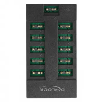 Delock - RGB LED licht-hub - 10 aansluitingen - zwart (64128)