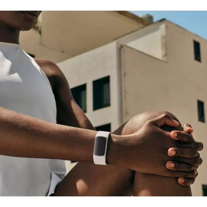 Fitbit GA05185-EU Product zilver