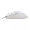 Muis White Shark GM-9004 Tristan-2 White RGB USB