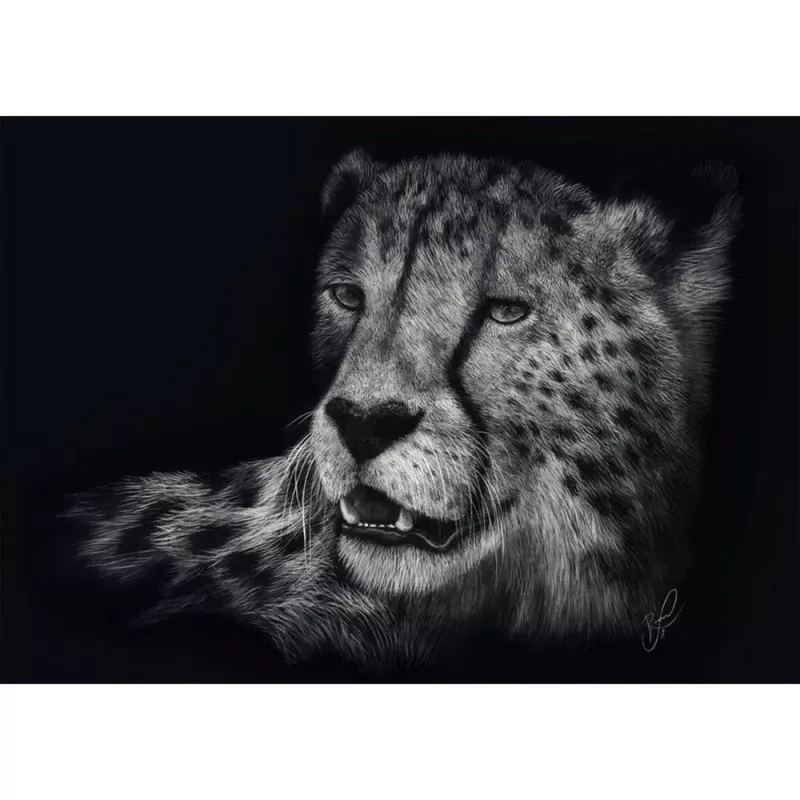 Ashley Rader: Speed - cheetah, in het teken van gratie, puzzel 1000 stukjes