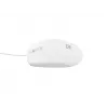 NATEC NMY-1988 muis USB Type A optisch