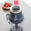 Staafmixer Petra PT5393BGRYVDE