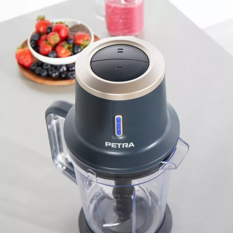 Staafmixer Petra PT5393BGRYVDE