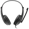 CANYON PC-headset HSC-1 PC Mic Flat 2m zwart