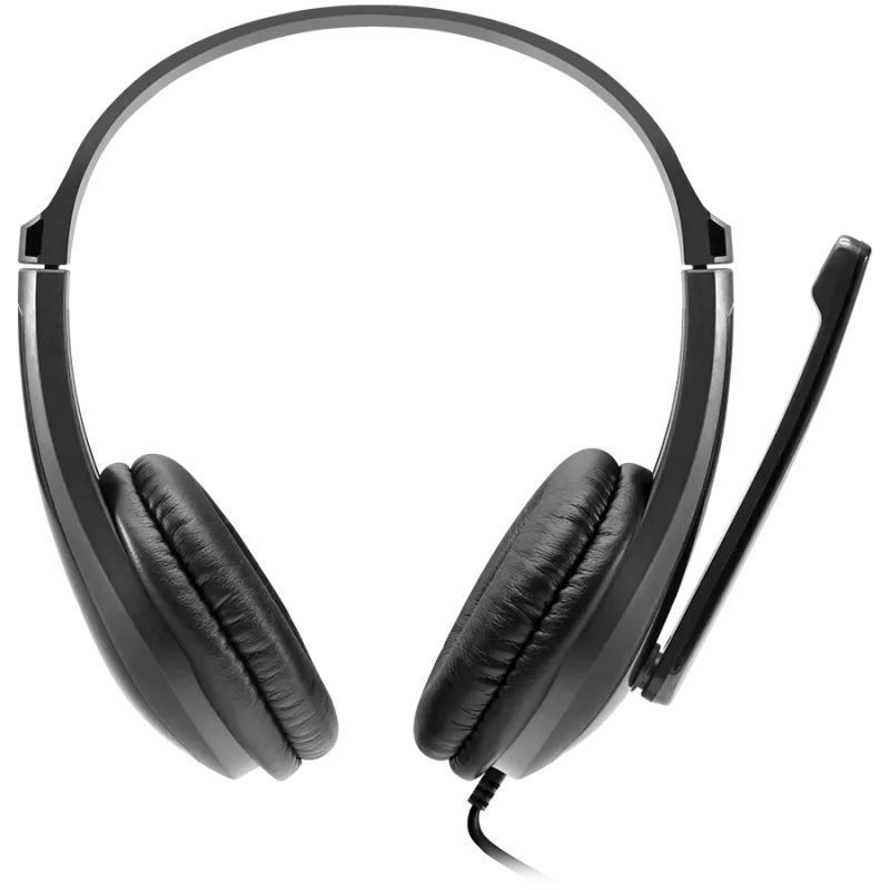 CANYON PC-headset HSC-1 PC Mic Flat 2m zwart