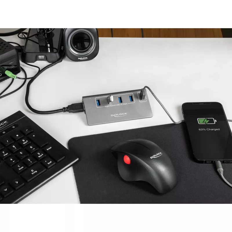 DeLOCK USB-hub 10 Gbit/s 4 Type-A-poorten 1 snellaadpoort