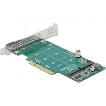 DeLOCK PCI Express x8 kaart naar 2 x interne NVMe M.2 Key M bifurcatie low-profile form factor