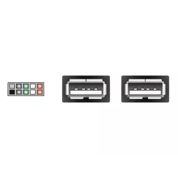 Interne USB-kabel DeLOCK 83292 0,2 m bus naar bus