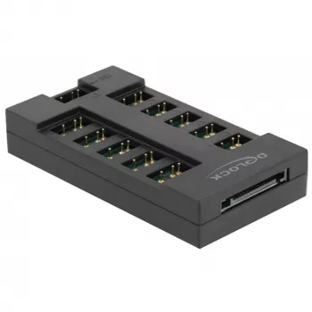 Delock - RGB LED licht-hub - 10 aansluitingen - zwart (64128)