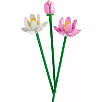 LEGO-bouwset LEGO 40647 Lotus Flowers — Botanical Collection modulair model, 220 onderdelen, hoogte 300 mm, leeftijd 8+