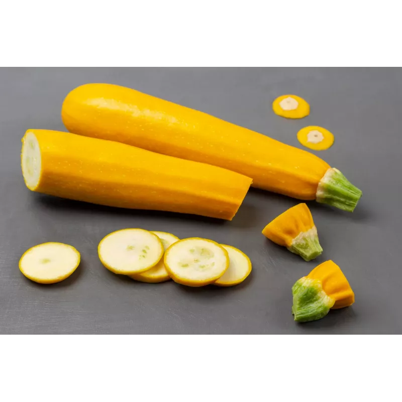 Gouden courgette Toraf groentezaden, 5g pakket