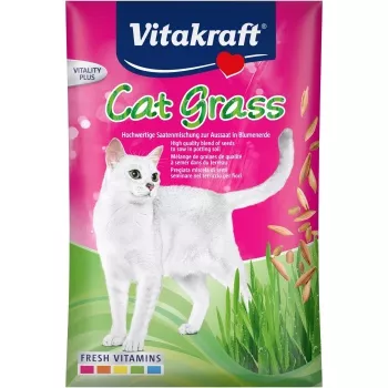 Vitakraft kattengraszaden 50 g — eetbaar plantenmengsel voor katten, 50 g zak, ondersteunt de spijsvertering en de afvoer van haarballen