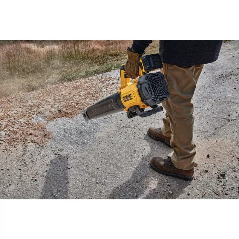 DEWALT. bladblazer 18V XR DCMBL562N