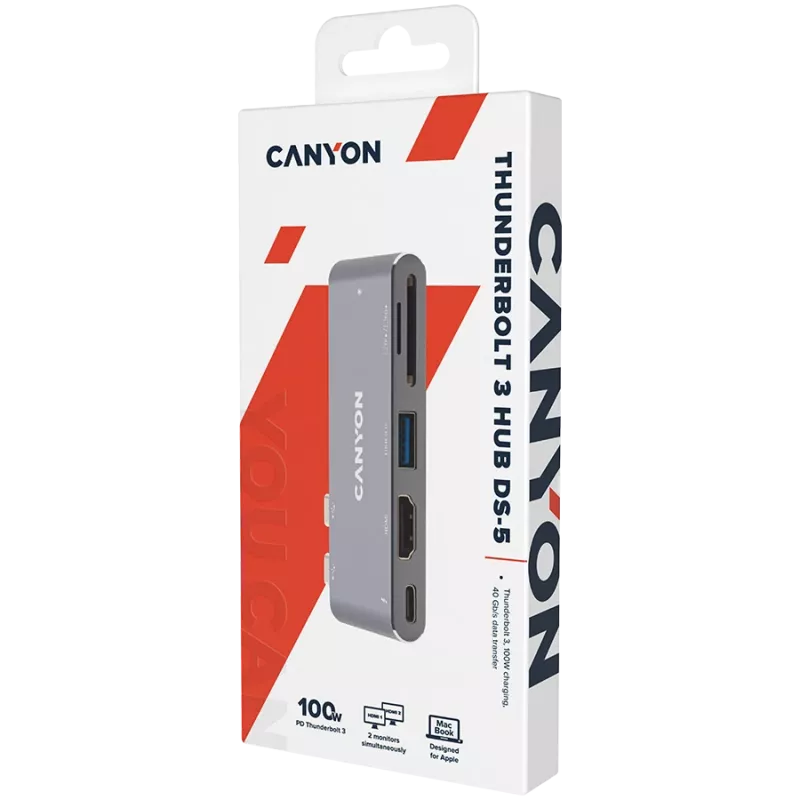 Canyon DS-5 USB 2.0 Type-C grijs SD-kaartlezer 60 Hz