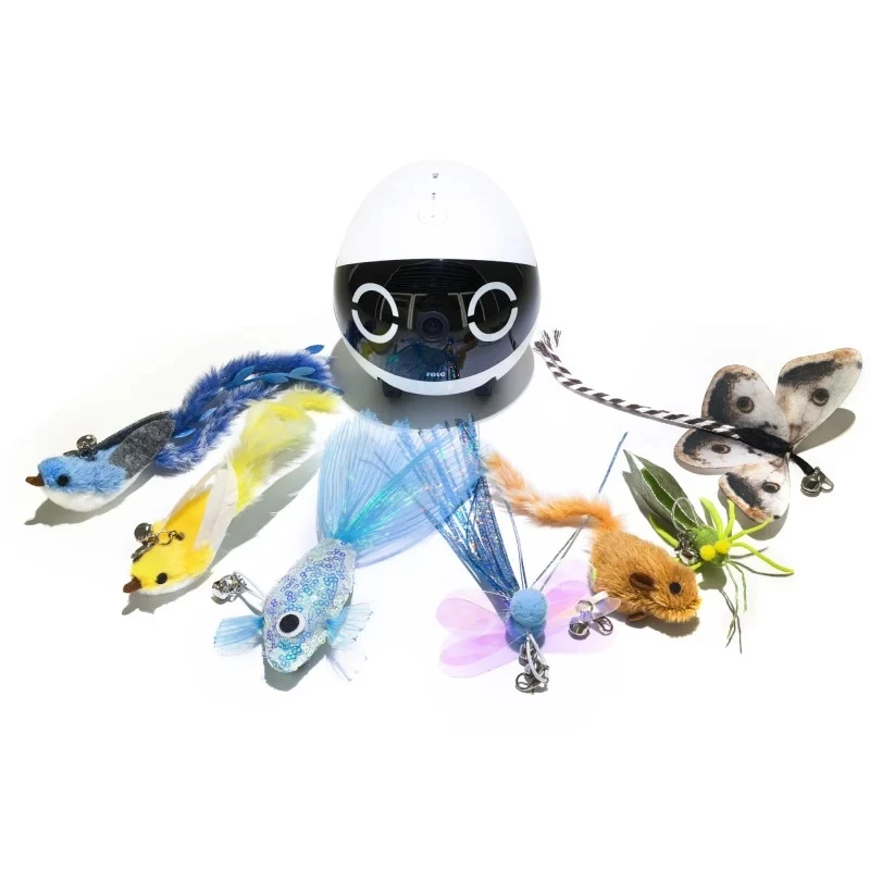 Interactieve kattenhengel-set Enabot ROLA Mini – automatisch bewegend speelgoed voor katten
