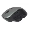 Optische muis Gembird MUSW-6B-02-BG USB