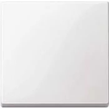 Merten 434119 lichtschakelaar wit duroplast (434119)