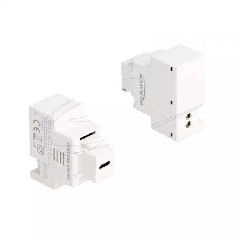 DELOCK keystone-module met USB-C PD 20W laadbus, wit