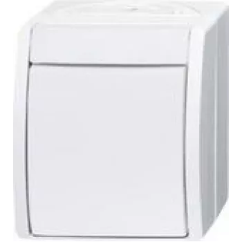 Busch Jaeger uit-schakelaar 2601/2 W-54 (2CKA001085A1627)