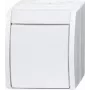 Busch Jaeger uit-schakelaar 2601/2 W-54 (2CKA001085A1627)