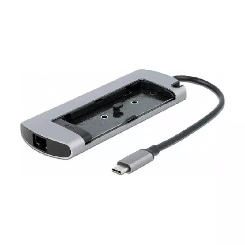 Dockingstation DeLOCK USB Type-C dockingstation met M.2-slot