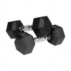 REBEL ACTIVE met rubber bekleedde gietijzeren dumbbells 2x8 kg