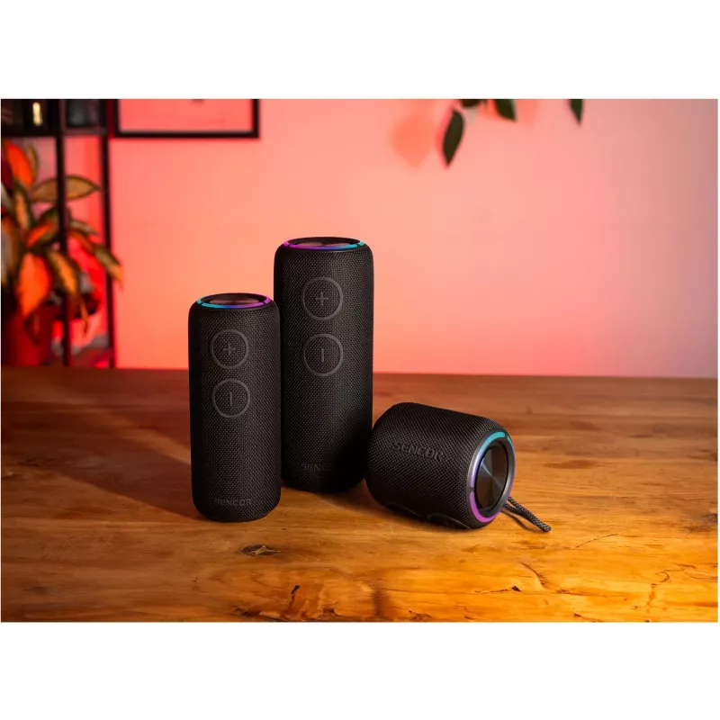 Bluetooth-luidspreker SIRIUS 2 Zwart Vermogen 20W