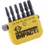C.K. bitset 6-delig TORX Torsion Control technologie (T4513)