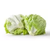 Crisp Ice Lettuce Summer Toraf groentezaden, 1g verpakking