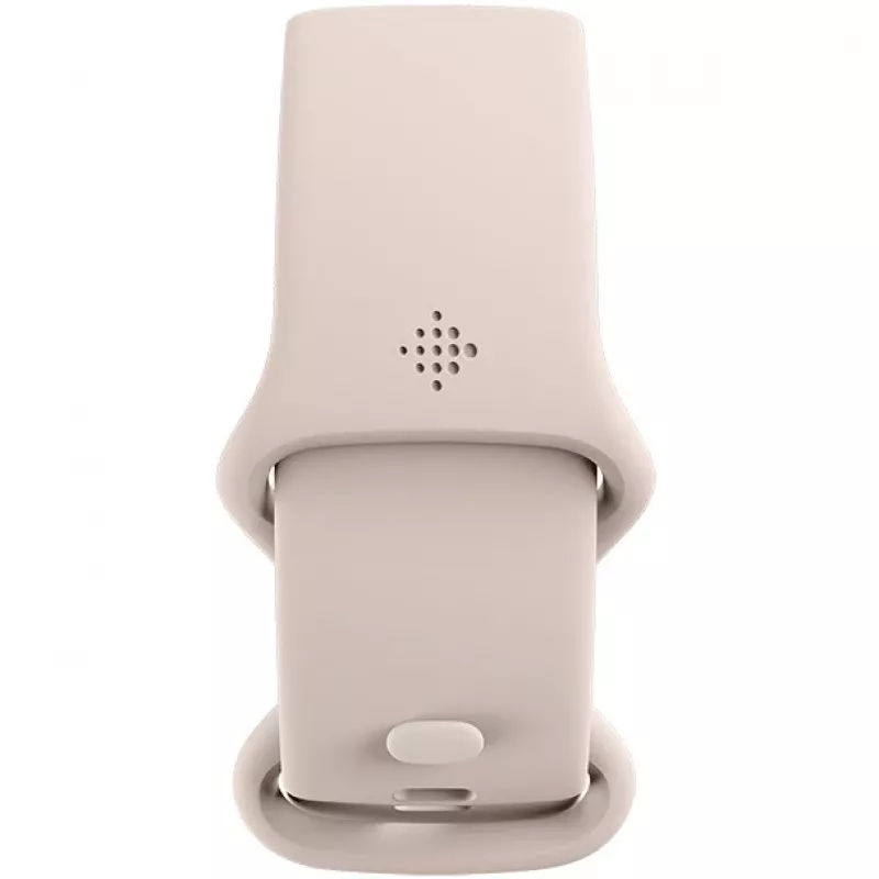 Fitbit GA05185-EU Product zilver