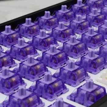 White Shark Purplepulse mechanische toetsenbordschakelaars 65 stuks