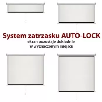 Handmatig scherm 4:3 halfautomatisch 120 244x183cm MS-120 4:3