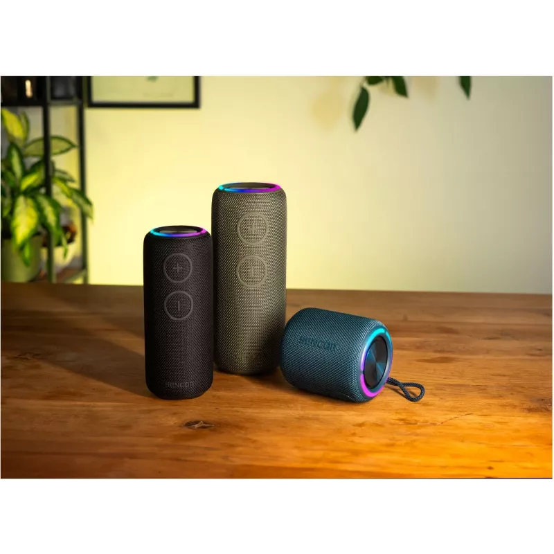 Bluetooth-luidspreker SIRIUS 2 Zwart Vermogen 20W