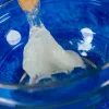 Wetenschapsbouwpakket Liscianigiochi Crazy Science slijm in het donker 304-PL89239 — experimenteerset met in het donker oplichtend slijm