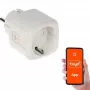 Smart stekker GENWAY ATLO-P1-TUYA — Wi-Fi smart stopcontact, bediening op afstand via Tuya, enkel stopcontact